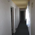 ホステル Papagal
