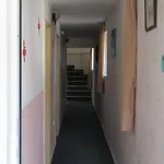 Papagal ホステル