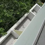 Papagal ホステル