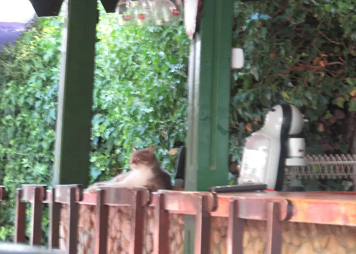 Hostel Papagal Varna