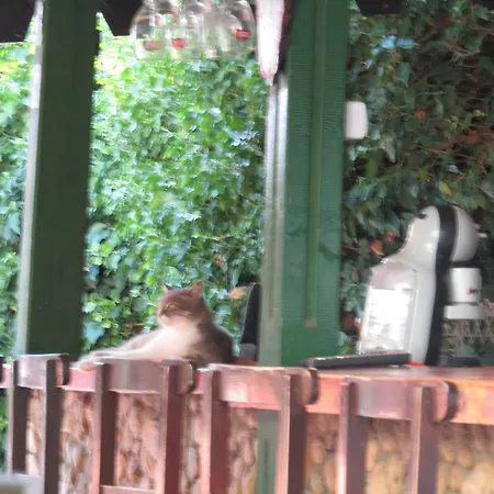 Hostel Papagal Varna