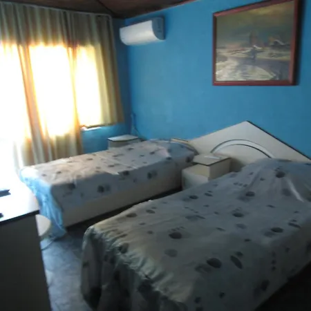 Hostel Papagal