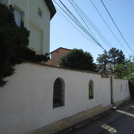 папагал Хостел Варна