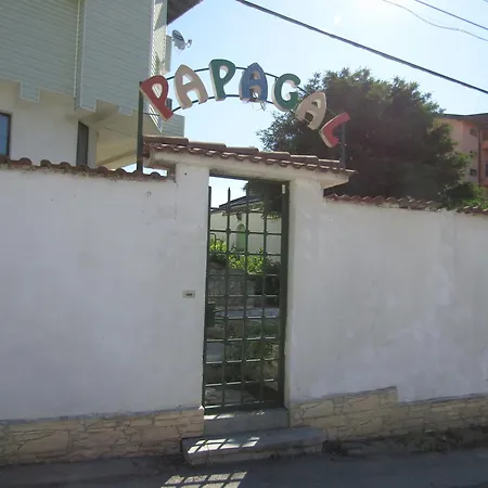 Хостел папагал *