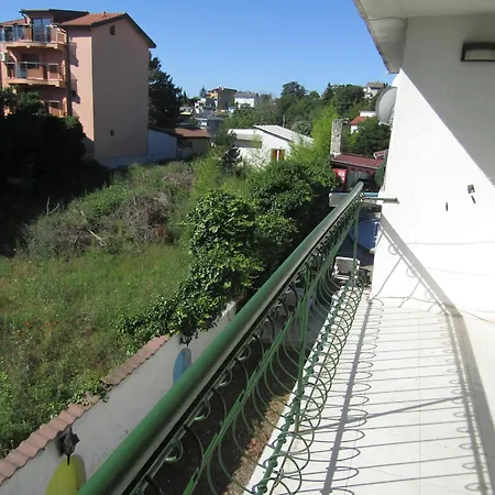 папагал * Варна