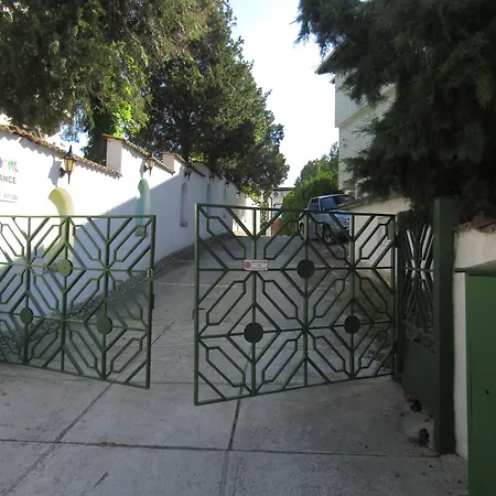 папагал