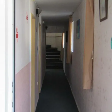папагал Хостел